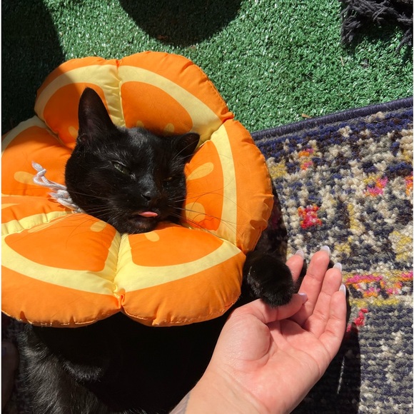 Meet your Posher, Stef๐ - Picture 9 of 11